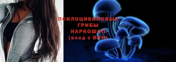 соль курить ск Елизово