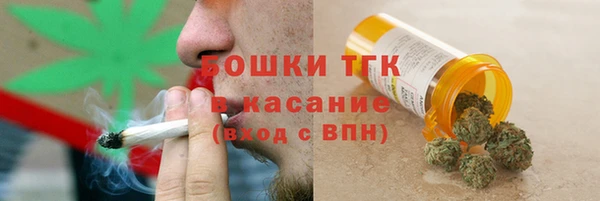 mdpv Ельня