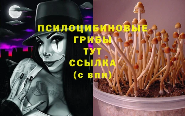 соль курить ск Елизово