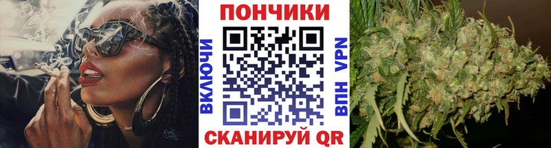 Конопля OG Kush  Купить закладки  Южа 